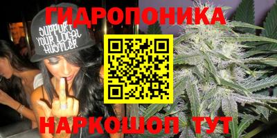 молекула духа Рыбинск