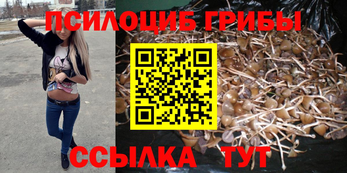 Галлюциногенные грибы Psilocybine cubensis Соль-Илецк
