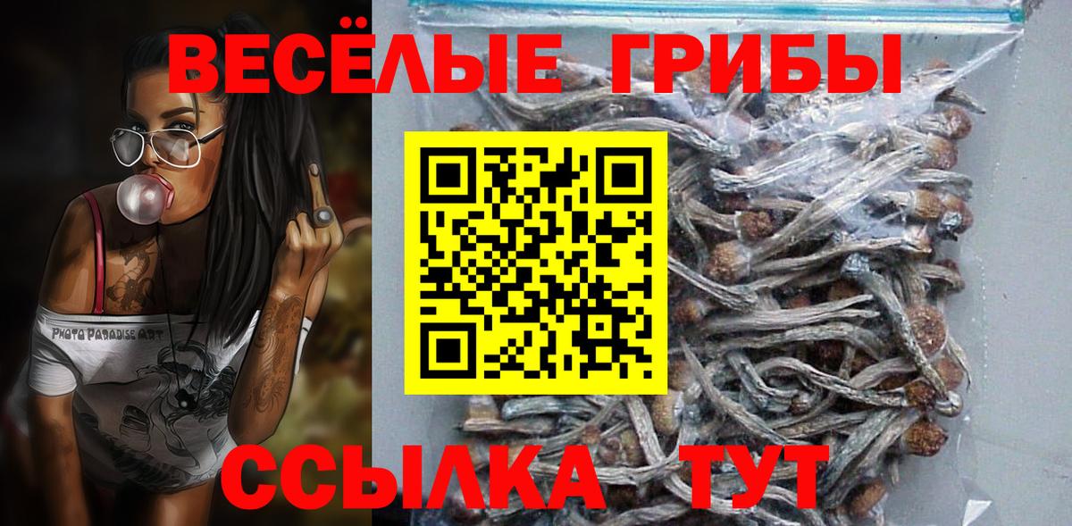 наркошоп  Вход с VPN  Соль-Илецк  Псилоцибиновые грибы мицелий 