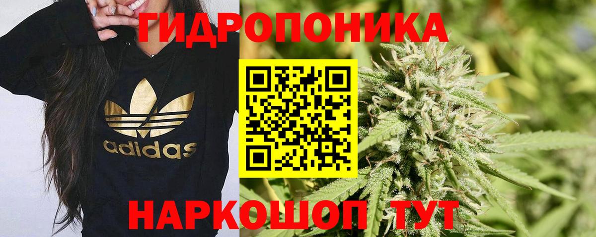 Конопля Bruce Banner  Канабис конопля  Соль-Илецк  Вход с VPN 